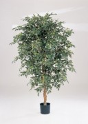 Ficus folia artificiel - Hauteur : 162 cm