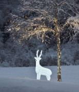 Décoration lumineuse extérieur renne de Noël - H. 105 cm - LED blanc froid