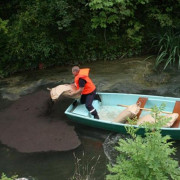 Granulés naturels pour absorber les hydrocarbures