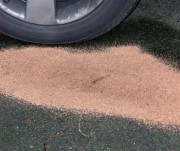 Granulés absorbants tous liquides