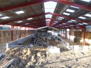 Hangar métallique stabulation