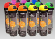 Lot de carton 12 bombes de marquage temporaire 30 jours