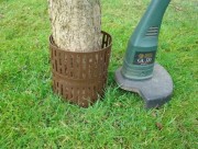 Manchon protection arbre