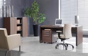 Mobilier de bureau de direction professionnel