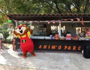 Organisation animation anniversaire