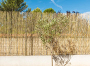 Paillon en fins roseaux entiers pour clôture - Dimension : de 1 x 5 m à 2 x 5 m - Tissage fil de fer