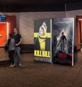 Panneau d'affichage carton H 1940 mm