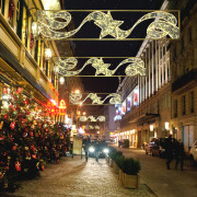 Décoration de noël de rue - leds blanc chaud - 65 x 300 cm - 24V