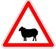 Panneau passages animaux domestiques