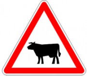 Panneaux passages animaux domestiques