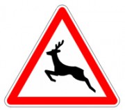 Panneaux passages animaux sauvages