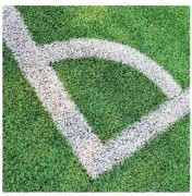 Peinture de traçage de lignes pour terrain gazonneux