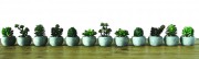 Plante artificielle dans pot en terre cuite - Lot de 12 pots de plantes artificielles