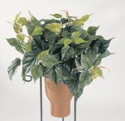 Plante philo artificielle - Hauteur: 104 cm