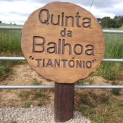 Plaque signalétique en béton avec texture bois : Dimensions (Ø x H) 700 × 1400 mm