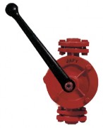 Pompe demi rotative pour essence