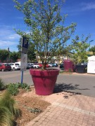 Pot de fleur rond grande taille