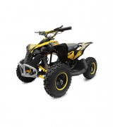 Quad pour enfant 1200W