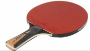 Raquette de ping pong en bois - Vitesse : 7 - Effet : 6 - Control : 8