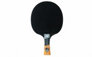 Raquette de ping pong familliale - Vitesse : 9 - Effet : 9 - Control : 6