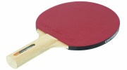 Raquette de ping pong loisirs - Vitesse : 8 - Effet : 8 - Contrôle : 7