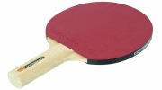 Raquette de ping pong loisirs