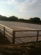 Réalisation ou rénovation de sols équestres