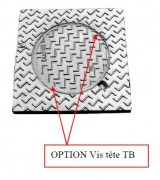 Regard en fonte de trottoir C 250