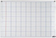 Réglures et planches éducatives - Dimensions (H x l) : 70 x 102 cm