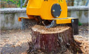 Rogneuse de souche hydraulique pour pelle - 1,5 à 15 T - Moteur à pistons