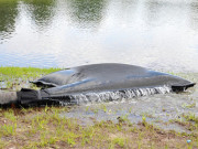 Sache filtrante - volume 4247 l - rétention 56 l