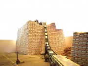 Sauterelle à bande pour sacs - Débit de 60 à 200 t/h