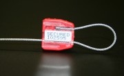Scellé de sécurité sans butée d'arrêt - Dimension câble (mm) : 1.5 x 200