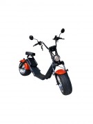 Scooter électrique 1200W EEC