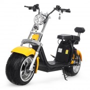 Scooter électrique 200 kg de charge