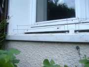 Service de nettoyage de déchets de pigeon