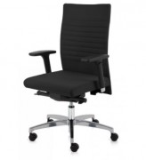 Siège synchrone pour posture dorsale DAMA