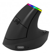 Souris ergonomique sans fil