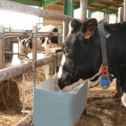 Support pierres à lécher