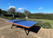 Table de tennis de table fixe