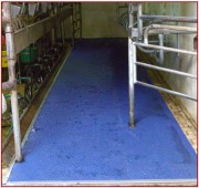 Tapis de circulation vache en caoutchouc - L. 50 ml - Largeur 1400 ou 1800 mm - Ep. 10 mm