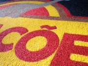 Tapis d'entrée à logo personnalisé