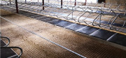 Tapis de logettes pour vaches sur mesure
