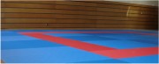 Tatami label judo - Épaisseur : 50 mm - Dimensions : 2 x 1 m - dessous nu ou Antidérapant