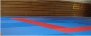 Tatamis de judo - Dimensions 200 X 100 CM - Épaisseur :30-40-50-60 mm -Norme européenne 12503