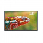 Ecran tactile interactif UHD 4k 55?