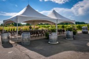 Tente pliante professionnelle 25 m²