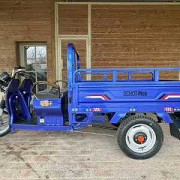 Triporteur électrique 1200W - Vitesse 35 km/h - Autonomie 80 km - Charge 350 kg