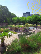 Végétalisation des espaces extérieurs