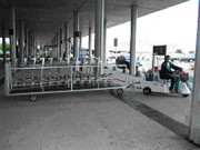 Véhicule électrique pour chariot